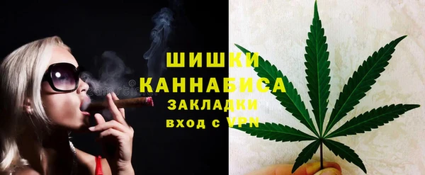 винт Алзамай