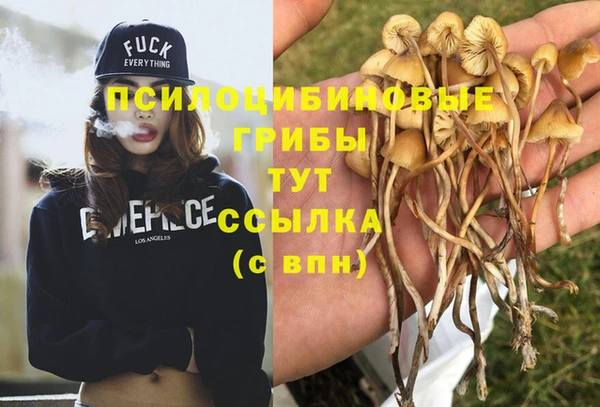винт Алзамай