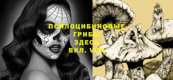 эйфоретик Алексеевка