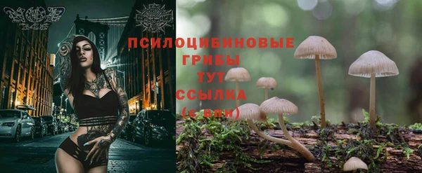 винт Алзамай