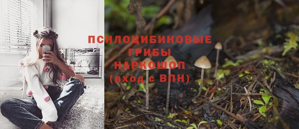 героин Алексин