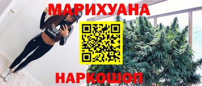 стаф Лесосибирск