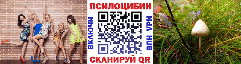 Галлюциногенные грибы GOLDEN TEACHER  Ижевск 