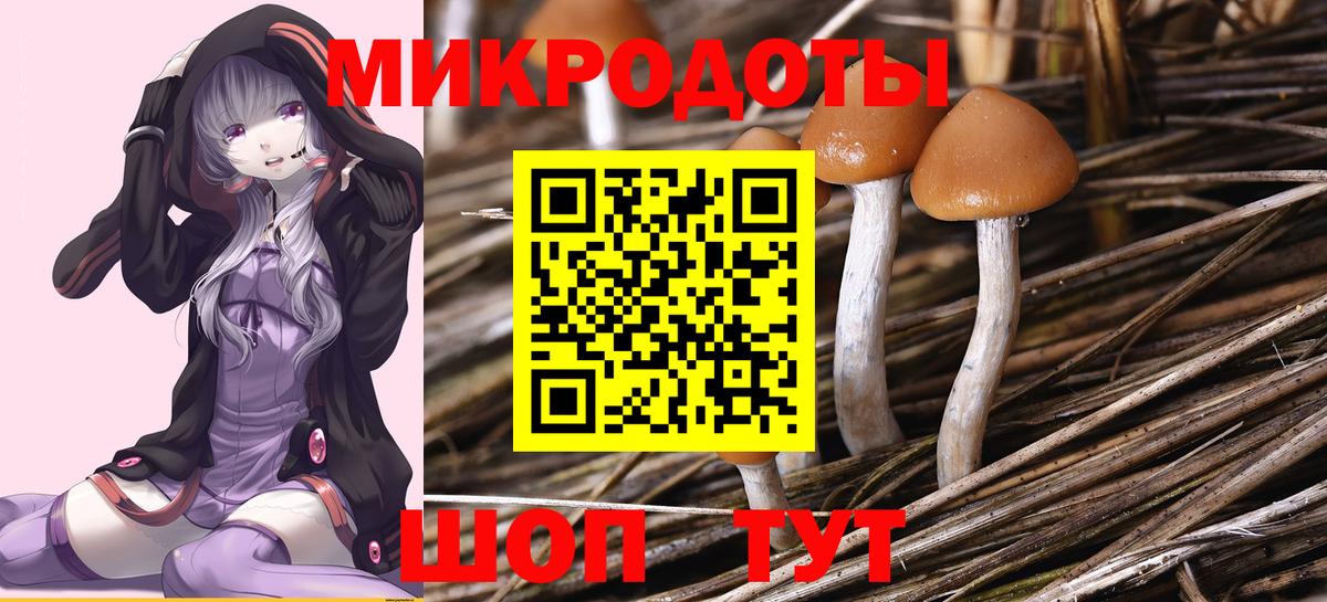 Галлюциногенные грибы прущие грибы Ижевск