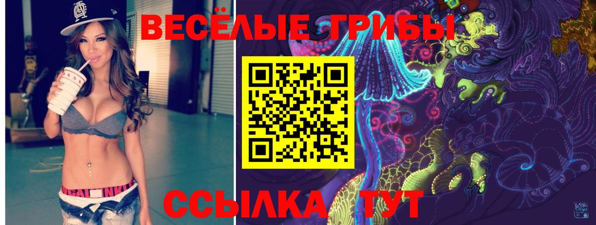 Псилоцибиновые грибы Magic Shrooms  даркнет сайт  Вход с VPN  Ижевск  Галлюциногенные грибы GOLDEN TEACHER 